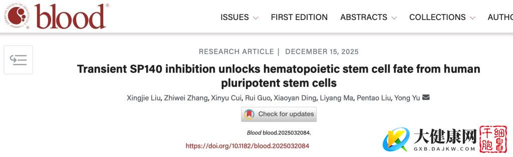 生命科学与技术学院余勇团队实现造血干细胞体外再生，成果发表于《血液》