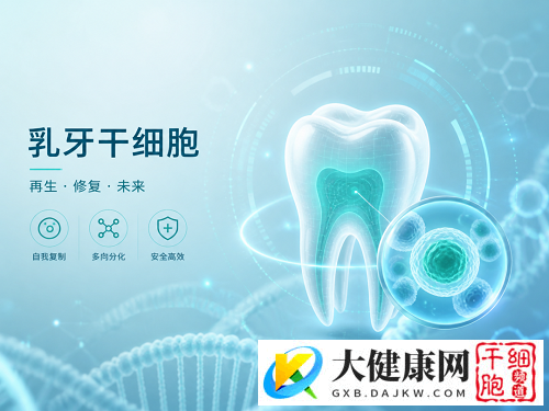 别随手扔掉孩子的乳牙！科学家正从中寻找对抗阿尔茨海默病的“新钥匙”